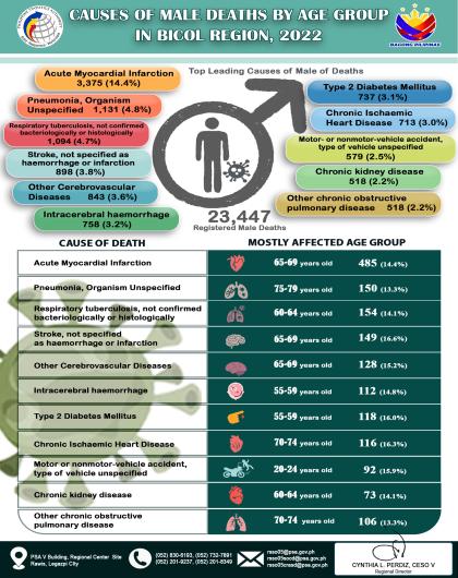 Infographics on Causes of Male Deaths by Age Group, 2022