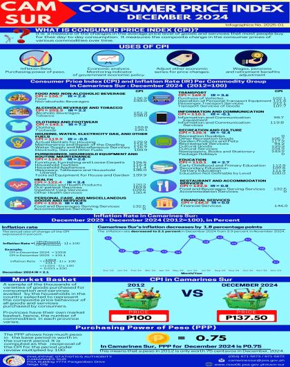 CPI Infographics of Camarines Sur for December 2024