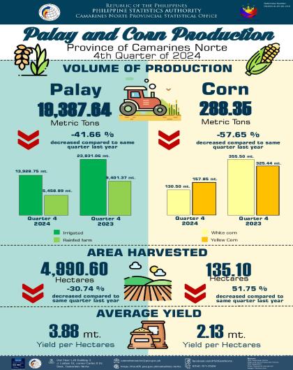 Infographics Palay And Corn Production in Camarines Norte, 4th Quarter of 2024