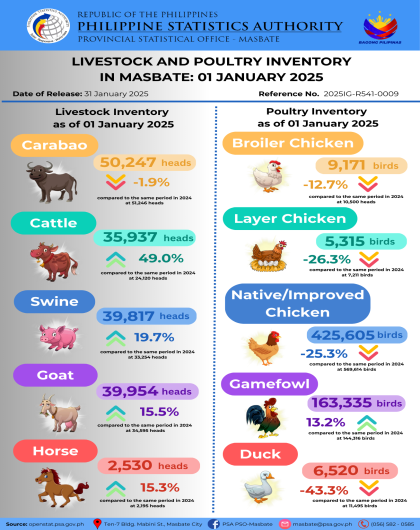 Q1 2025 L&P Inventory in Masbate